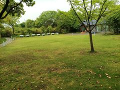 -渤公岛生态公园