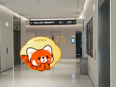 -东北大学附属辽宁爱尔眼科医院