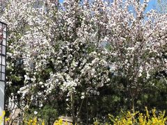 -大兴滨河森林公园