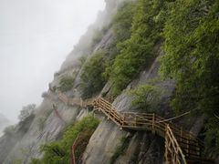 -陕西省红河谷森林公园