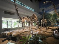 -自贡恐龙博物馆