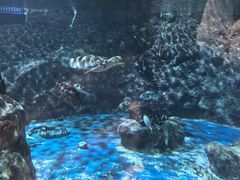 -香港海洋公园