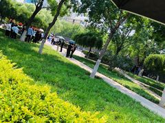 -好伦哥比萨烤肉自助(八里桥店)