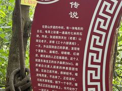 -老君山