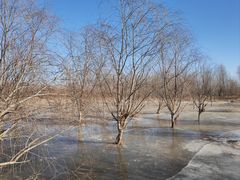 -永定河休闲森林公园
