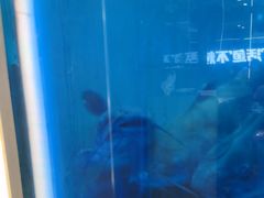 -鱼酷活鱼烤鱼(沈阳大悦城店)