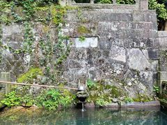 金莲池-韬光茶庵