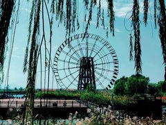 -太湖湖滨国家湿地公园-停车场