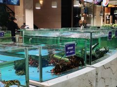 水产区-旺顺阁海鲜广场(亚运村店)