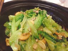 粤式虾膏啫生菜-尚一汤 广东炖汤(金桥国际店)