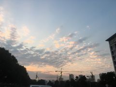 -7分甜(苏州园区科文中心店)