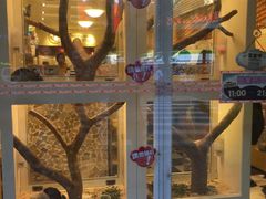 -龙猫仔乐园(惠福东路店)