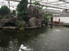 -汤山翠谷生态餐厅