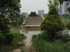 -飞来湖湿地公园