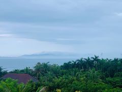 -三亚海棠湾万丽度假酒店