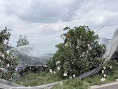 -樱桃山旅游景区