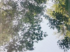 -上海滨江森林公园