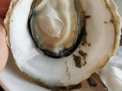 -蠔爺王志德生蚝馆(金沙湾店)