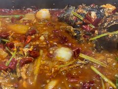 -鱼酷活鱼烤鱼(沈阳大悦城店)