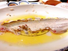鸡汁长江白鱼-南京大牌档(青岛万象城店)