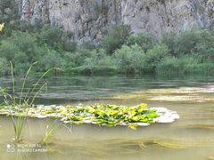 -永定河休闲森林公园