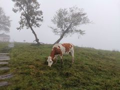 -硗碛藏寨·神木垒景区