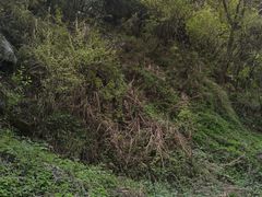 -抱龙峪