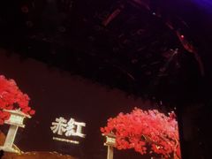 -赤红音乐现场(浦东金桥路店)