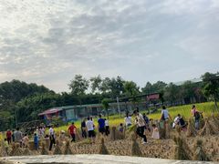 -洪湖家庭农场·团建·露营·会议