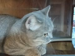 -白兔子密室(长寿路店)