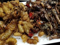 -蔼若春.传承三十年云南菜(金碧公园店)