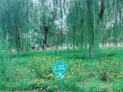 -绿堤公园