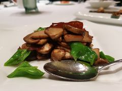 -福1015(愚园路店)