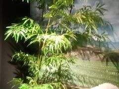 -湘邻呷铺·田园家宴(汉基广场店)