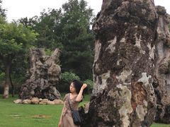 -烟台自然博物馆