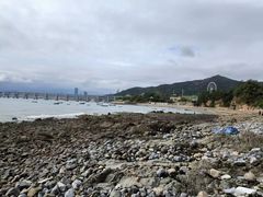 -傅家庄公园