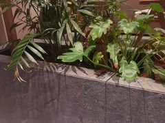 -奈雪茶院·茶室茶馆(广州粤海天地店)