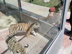 -西霞口神雕山野生动物世界