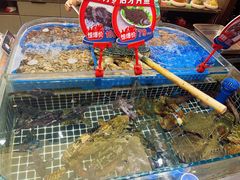 -双合园·海鲜水饺青岛菜(大尧三路店)