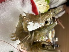 -红鼎豆捞·非遗鲍皇汤火锅(宝丰路店)