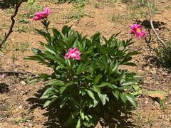 -合肥三国新城遗址公园