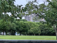 -蠡湖大桥公园