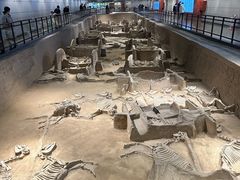 -洛阳周王城天子驾六博物馆