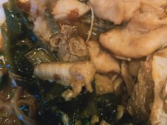 -魔石泡泡鱼(当涂店)