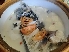 -全乐鱼馆·淳牌有机鱼直营店