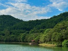 -广州白江湖森林公园