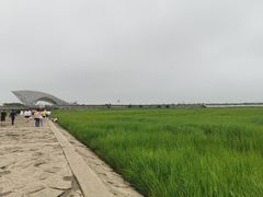 -南汇嘴观海公园