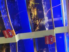 -七欣天香辣蟹火锅(南京夫子庙店)