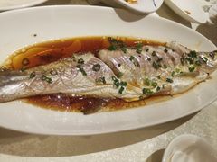 -金美华轩(东方路齐鲁店)