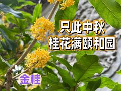 -颐和园